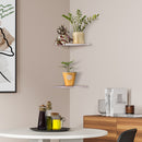 set of 2 acrylic corner shelves on wall