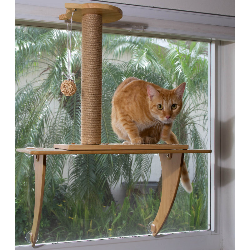STAUBER Best Bamboo Cat Window Perch - Renewable and Eco Friendly! - STAUBER Shop