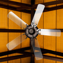 STAUBER BEST-Acrylic Fan Blades ( 5 pack )- 16" for 42" Fan or 20" for 52" Fan CLEAR - 3 HOLES PATTERN- 3/16" Thick