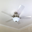 STAUBER BEST-Acrylic Fan Blades ( 5 pack )- 16" for 42" Fan or 20" for 52" Fan CLEAR - 3 HOLES PATTERN- 3/16" Thick