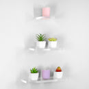 Clear Acrylic Wall Floating Shelf set on wall